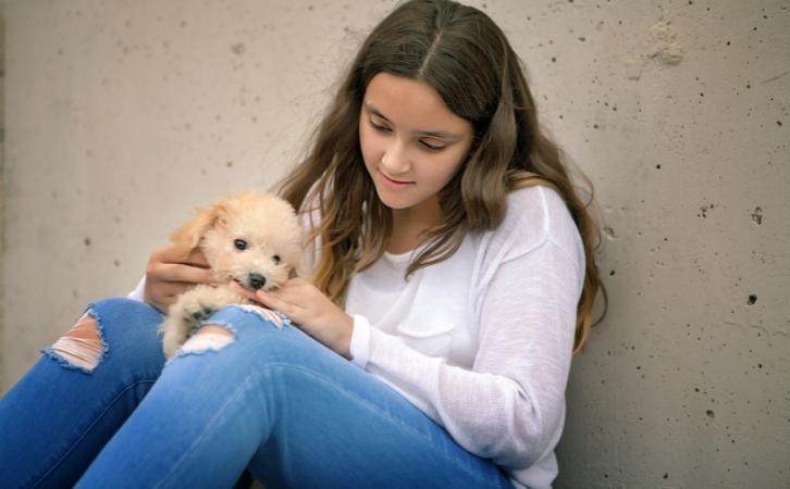 6 Things To Stop Aggressive Puppy Biting