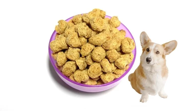 Can dogs eat soya chunks