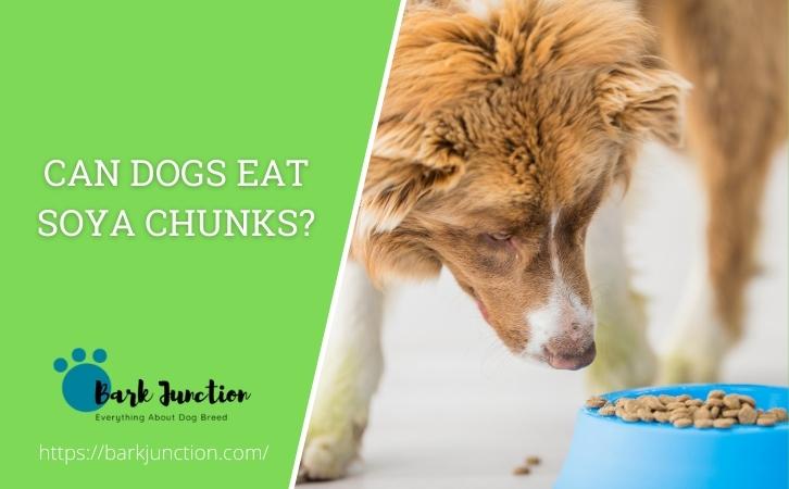 Can dogs eat soya chunks