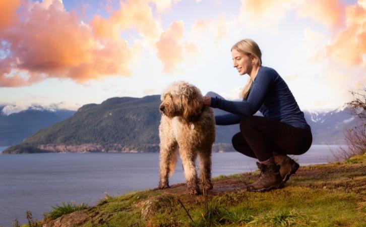 10 Things You Should Know Before You Go Hiking with Your Dog