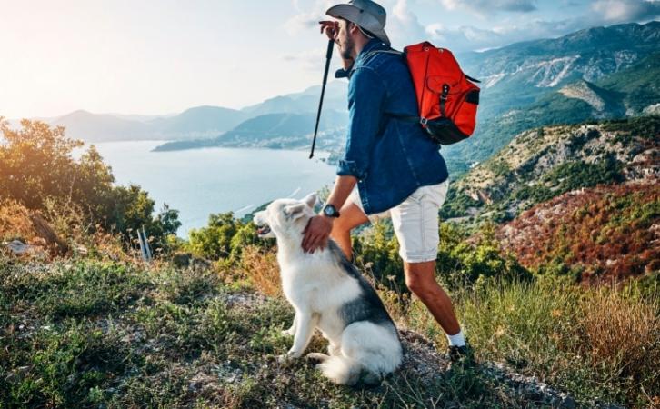 10 Things You Should Know Before You Go Hiking with Your Dog
