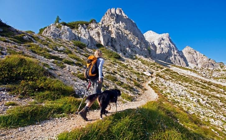 10 Things You Should Know Before You Go Hiking with Your Dog
