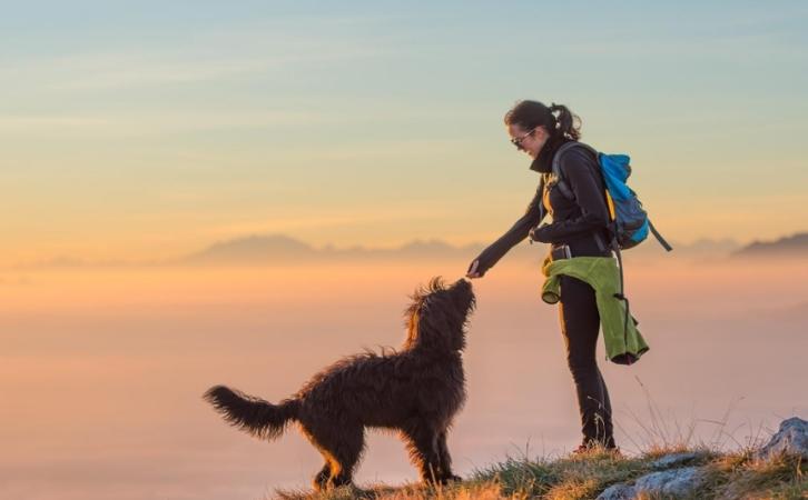 10 Things You Should Know Before You Go Hiking with Your Dog
