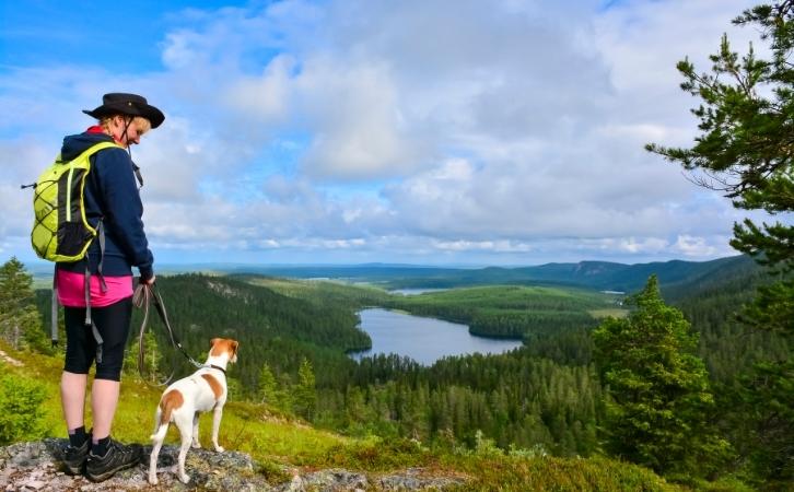 10 Things You Should Know Before You Go Hiking with Your Dog
