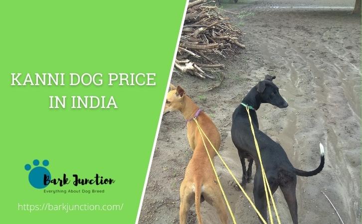 kanni dog price In India