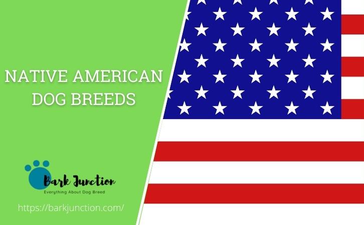 American dog breeds