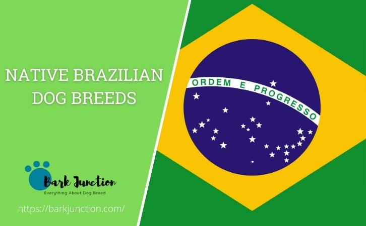 Brazilian‎ Dog Breeds