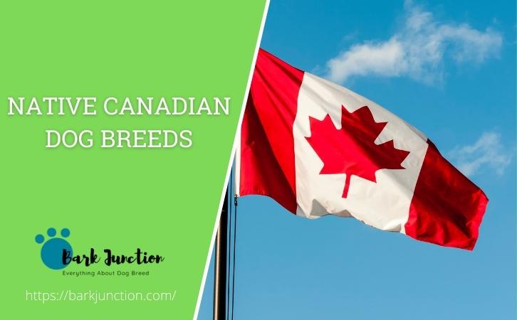 Native Canadian‎ Dog Breeds