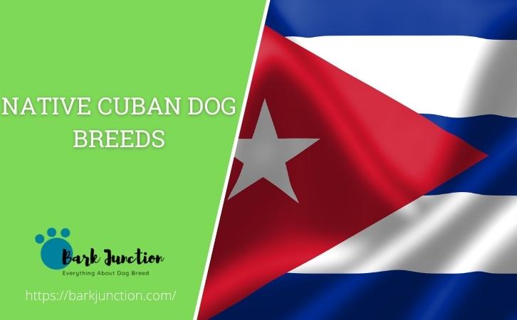 Cuba‎n Dog Breeds