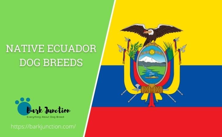 Ecuador‎ Dog Breeds
