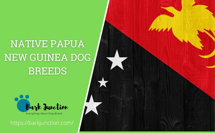 Native ‎Papua New Guinea‎ Dog Breeds