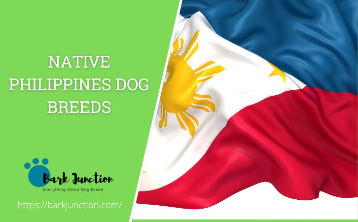 Native ‎Philippines‎ Dog Breeds