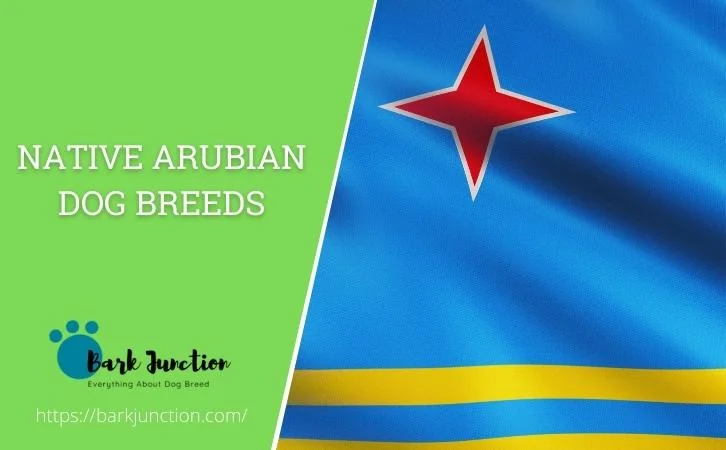 Arubian dog breeds