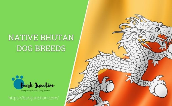 Native Bhutan dog breeds