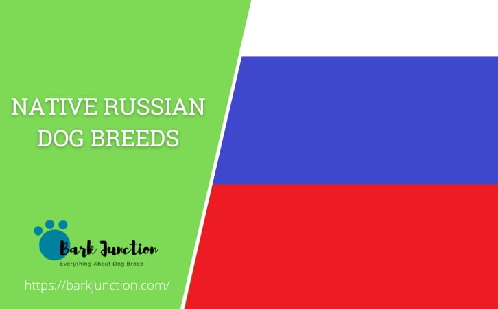 Native ‎Russian ‎‎Dog Breeds