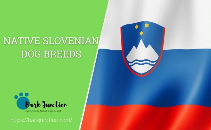 Slovenian ‎‎Dog Breeds
