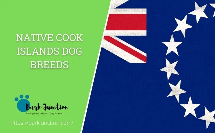 Native Cook Islands dog breeds