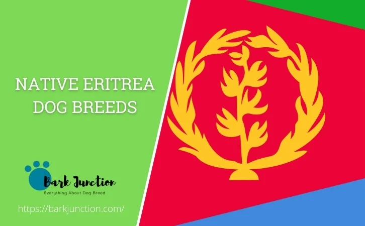 Eritrea dog breeds