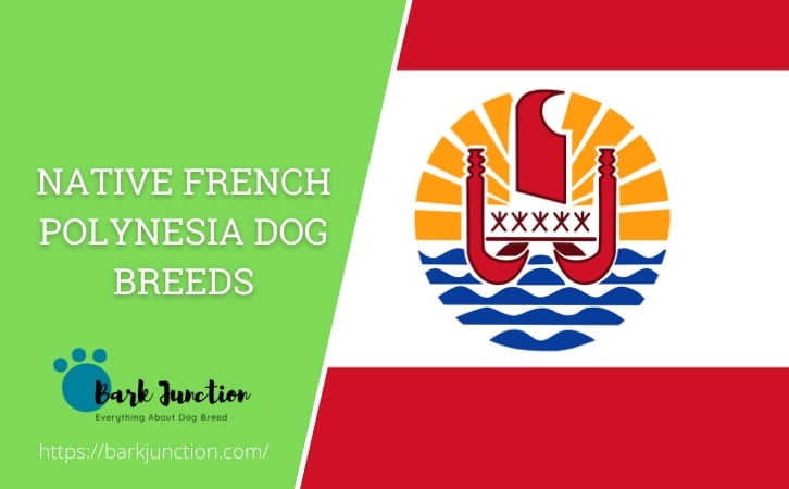 Native French Polynesia dog breeds