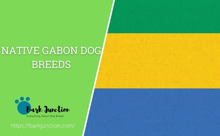 Native Gabon dog breeds