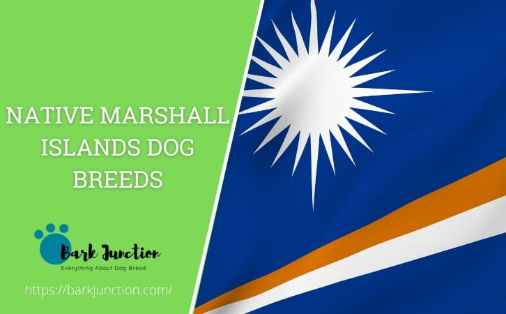 Native Marshall Islands dog breeds