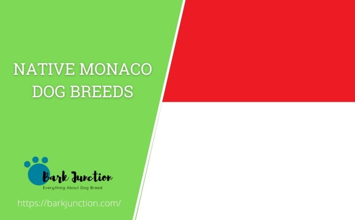 Native Monaco dog breeds