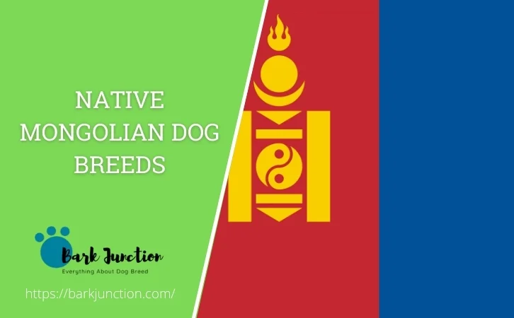 Native Mongolian dog breeds