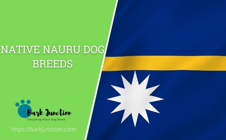 Native Nauru dog breeds