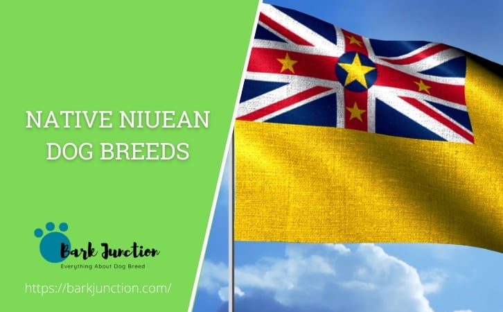 Niuean dog breeds