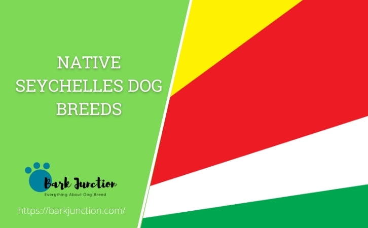 Native Seychelles dog breeds