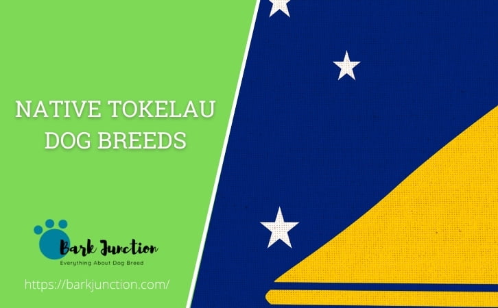 Native Tokelau dog breeds