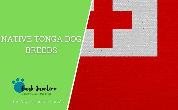 Native Tonga dog breeds