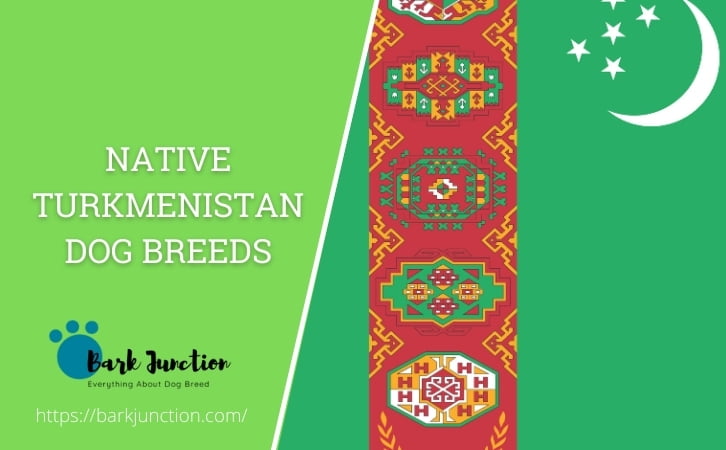Native Turkmenistan dog breeds