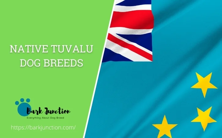Native Tuvalu dog breeds