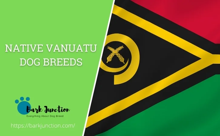 Native Vanuatu dog breeds
