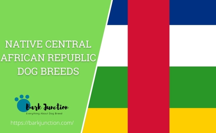 Native Central African Republic dog breeds