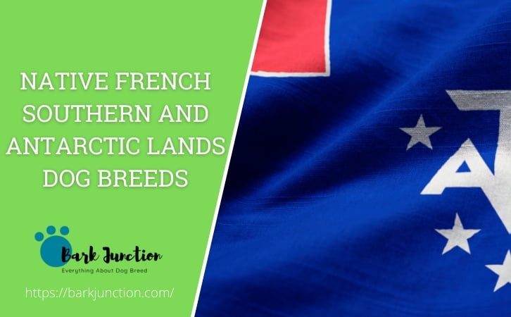 Native French Southern and Antarctic Lands dog breeds