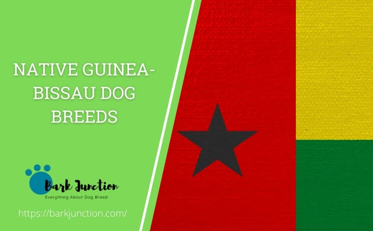 Native Guinea-Bissau dog breeds