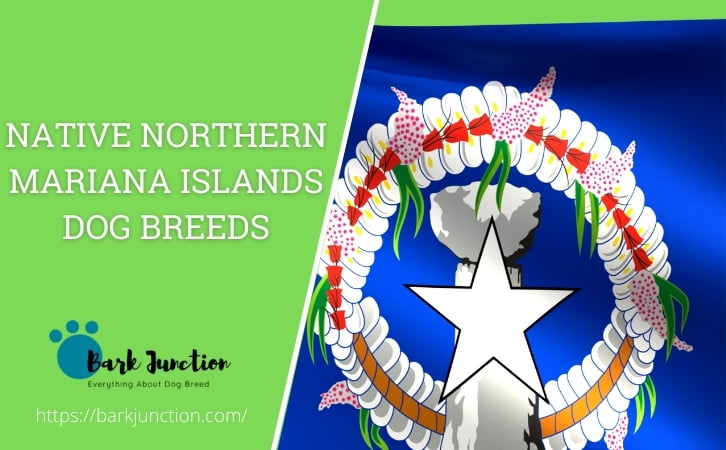 Native Northern Mariana Islands dog breeds