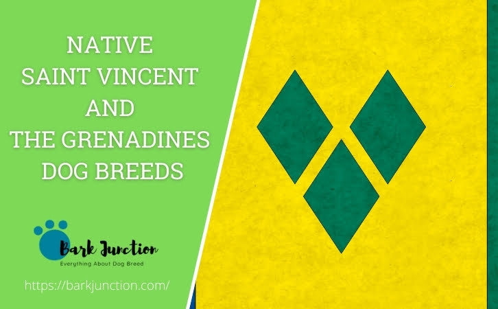 Native Saint Vincent and the Grenadines dog breeds