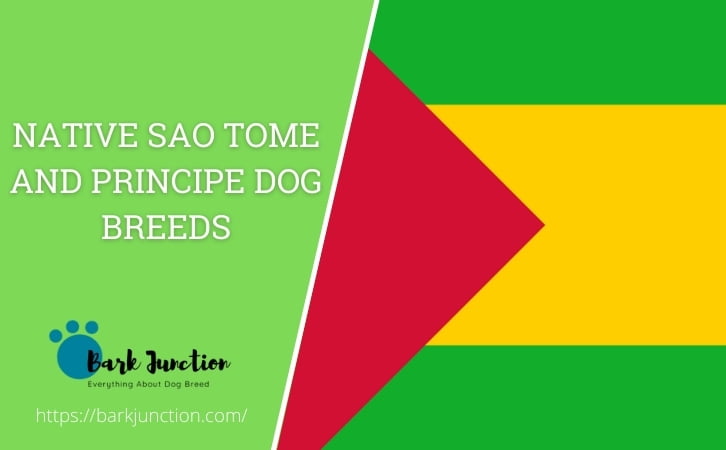Native Sao Tome and Principe dog breeds