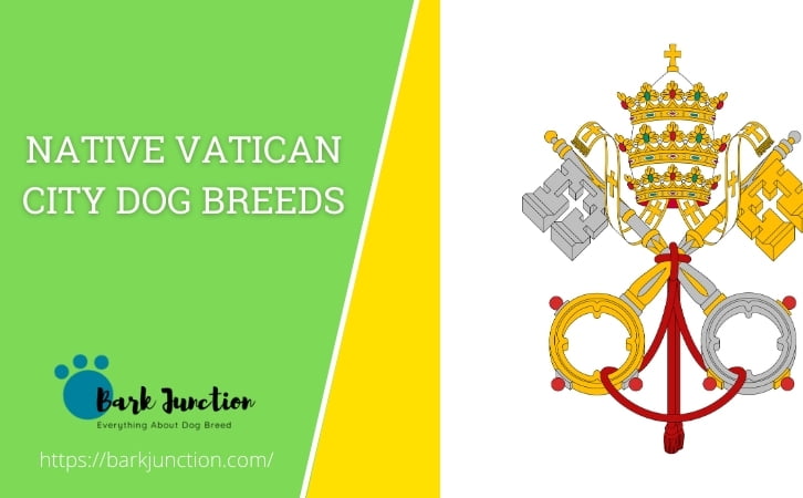 Native Vatican City dog breeds