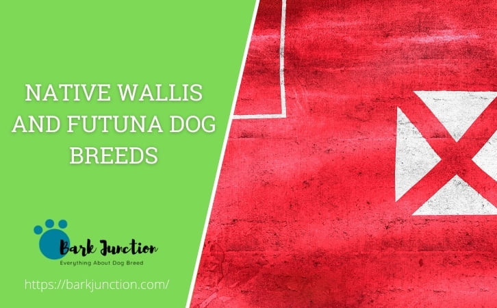 Native wallis and futuna dog breeds