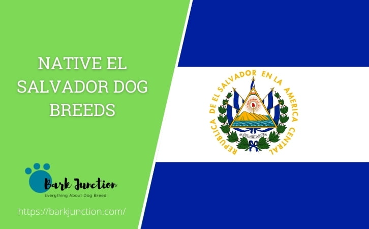 El Salvador dog breeds