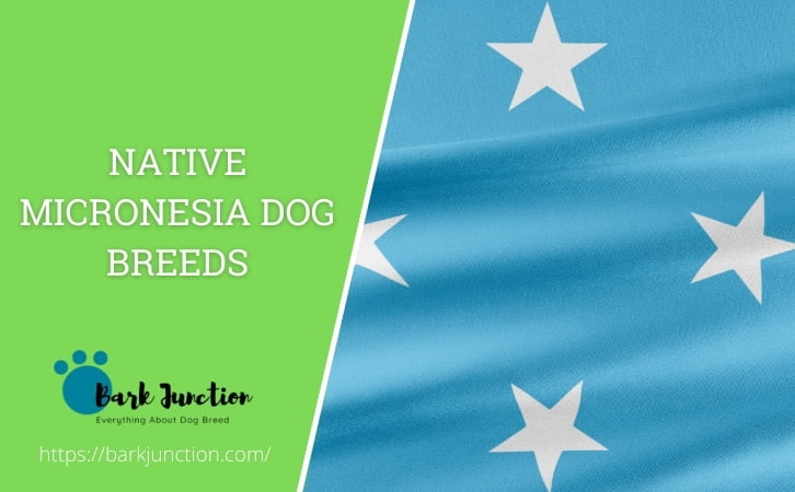 Native Micronesia dog breeds
